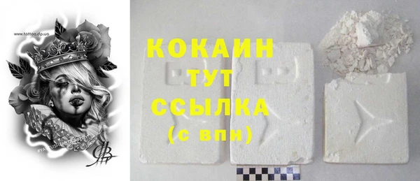 дживик Абаза