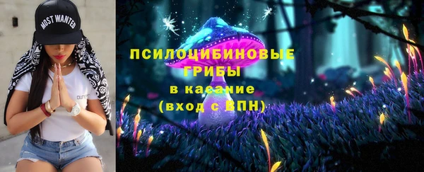 ПСИЛОЦИБИНОВЫЕ ГРИБЫ Абдулино
