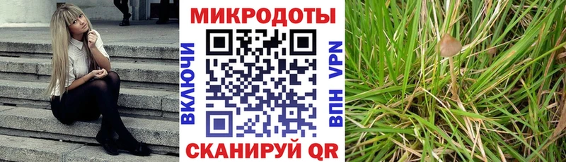Галлюциногенные грибы Psilocybine cubensis  купить наркотик  Алапаевск 